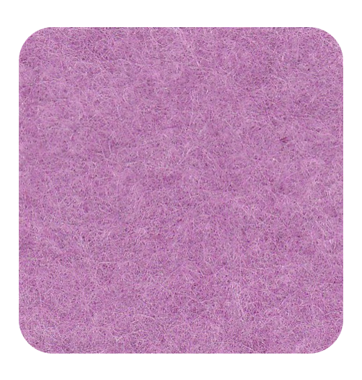FM23